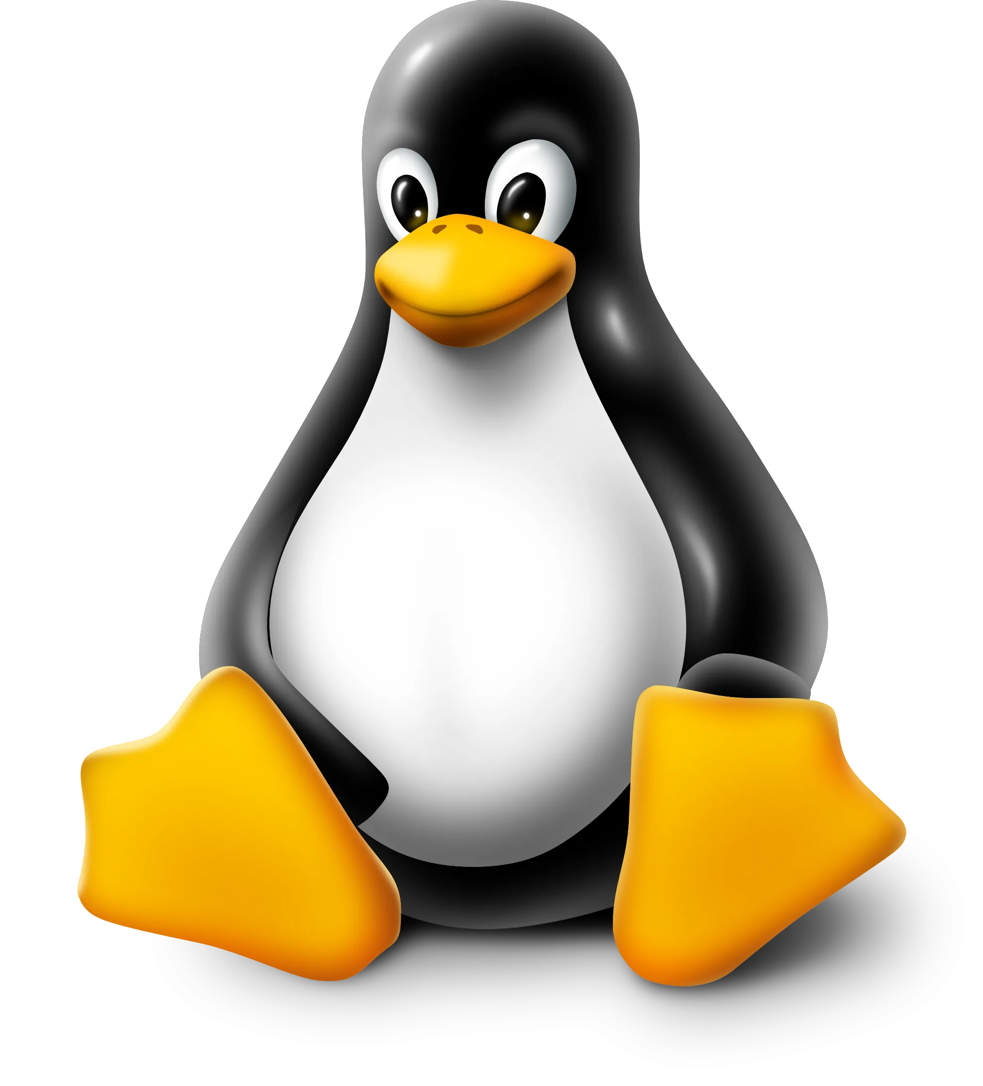 Copy Fail is a Linux vulnerability. The image is of the Linux logo, which is an animated penguin
